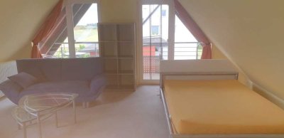 Attraktives 1 Zi.Apartment/Dachstudio  für Studenten der Dualen Hochschule Horb