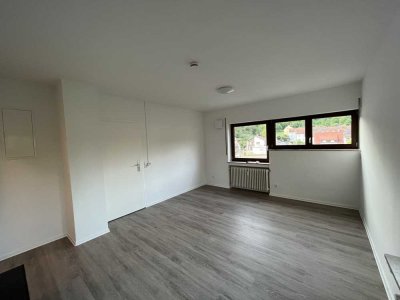 Renovierte 1-Zimmer-Wohnung mit EBK in Nähe zu Zeiss
