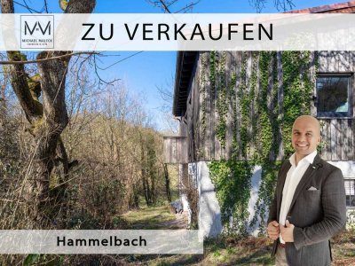 Idyllisches Einfamilienhaus in Hammelbach – Ihr Rückzugsort im Herzen des Odenwalds