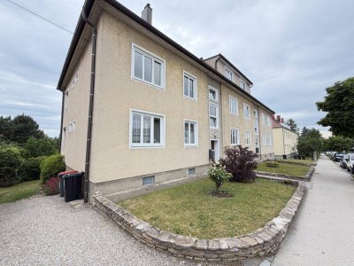 Charmante 3-Zimmer Wohnung mit Garten in Hollabrunn - € 129.000,00