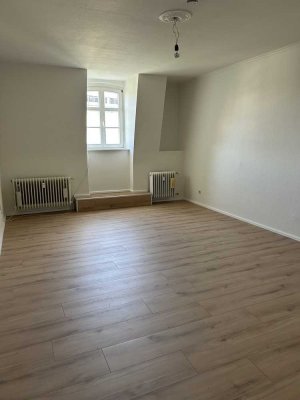helle neu renovierte 3 Z Wohnung in der Innenstadt