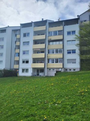 Großzügige u. renovierte 3-Zimmer-Wohnung