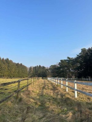 Traumhaftes Anwesen mit vielfältiger Nutzungsmöglichkeit in der Urlaubsregion Lüneburger Heide