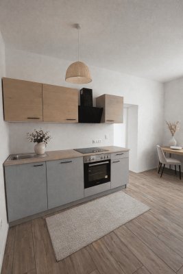 Erstebezug nach Sanierung*1-Zimmer Wohnung in Leobersdorf, Allgemeingarten