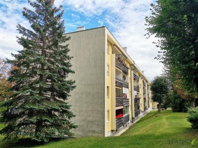 BADEN BEI WIEN: 4 Zimmer mit Loggia und Autoabstellplatz in Grünruhelage