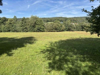 Flieden, Idylle pur, Zweifamilienhaus, 3.195 m² Grundstück