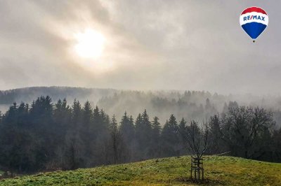 Traum vom eigenen Pferdehof - Wohnen in ländlicher Idylle in Bonndorf-Brunnadern