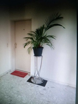 Heeßen Helle Komfort 120qm 3-ZKB gr.Balk. sehr großes Wohnz.gerne Besichtigung Tel.0152/33645033