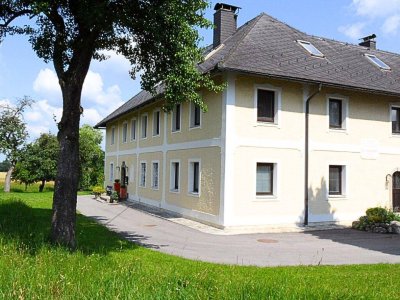 Wohnung mit neuer Küche in Grün- Ruhelage in 4407 Dietach