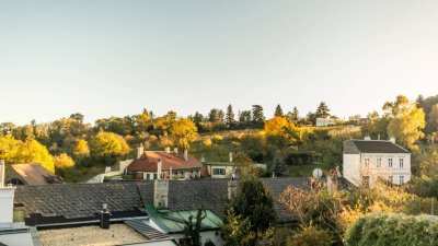 Energieeffiziente Dachgeschoß Maisonette inklusive Dachterrasse– Zur Schönen Agnes | Top 19
