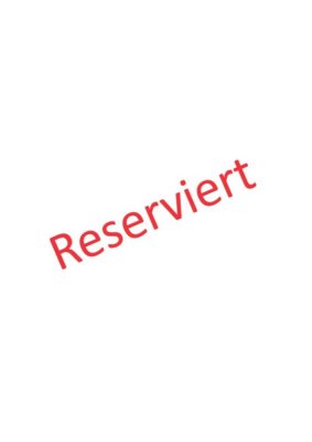2-Raum-Wohnung mit rustikalem Flair, großer Terrasse und EBK direkt am Markt