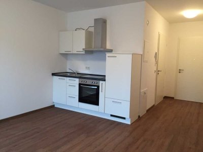 Geschmackvolle 1-Zimmer-EG-Wohnung mit gehobener Innenausstattung mit Einbauküche in Trier