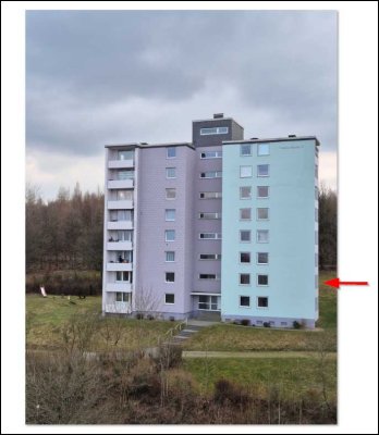Hunde erlaubt! Gemütliche 2-Zimmer Wohnung am Waldrand