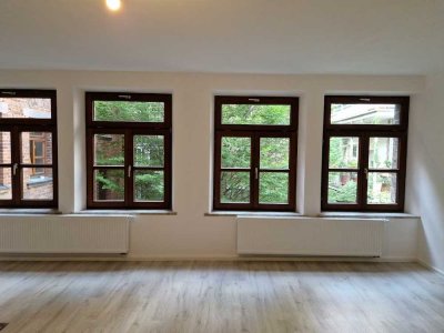 Schöne, neu renovierte 1-Zimmer-Wohnung in der Petzoltstraße 6, Nürnberg