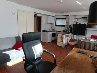 Helles, freundliches möbliertes 1-Zimmer-Souterrain-Appartment in Dreieich für Wochenendheimfahrer