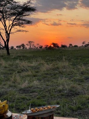 Naturliebe und Urbanität vereinbart, Ihr Blick in den Garten