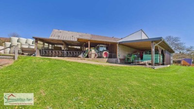RENOVIERTES BAUERNHAUS / SCHEUNEN / STALLUNGEN / 40 AR AREAL!