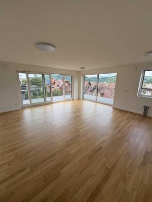 Exklusives Penthouse mit 2 Terrassen, Aufzug & Fernblick – Neubau (KfW 55) in Geislingen