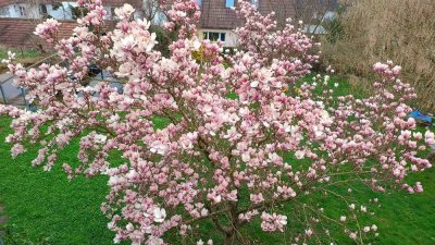 Mitbewohner gesucht (für Haus-WG)