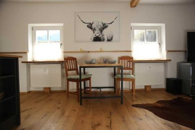 Möbelierte 2-Zimmer Wohnung