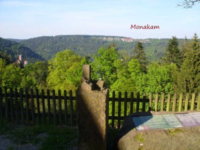 Bad Liebenzell Monakam 2-Zi Whg