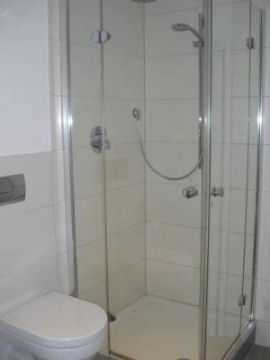 Altbau renovierte wohnung, zentrale lage