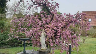 Gepflegtes 1-2 Familienhaus mit Garten, Vollkeller, Doppelgarage