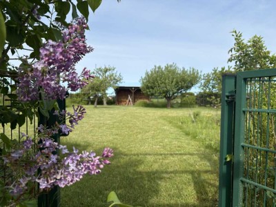 Familienparadies mit Pool und Nebengelass in Feldrandlage