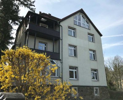 Balkon & Wanne: 2-Zi.-Wohnung in Loschwitz