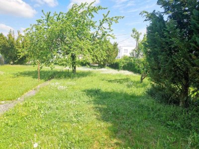 Top 2! Belagsfertiges Reihenhaus inkl. Carport und Parkplatz in Pichling: 5 Zimmer, Terrasse, Eigengarten.