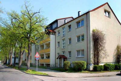 Gemütliche Singlewohnung!