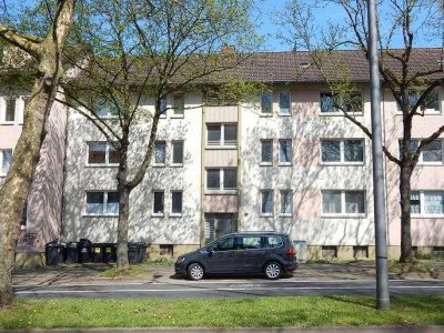 Klein aber fein: günstiges 1,5-Zimmer-Single-Appartment