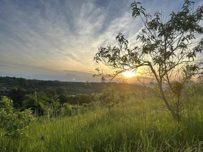 Natur Pur, gute ruhige Lage, magischer Blick, gehobene Innenausstattung, nach Renovierung
