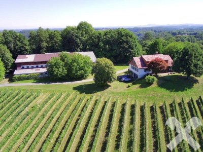 Landsitz in einzigartiger Allein- und Aussichtslage in der Südweststeiermark