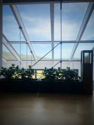 Renovierte 4,5-Zimmer Loft-Wohnung mit Balkon in Wilhelmsfeld