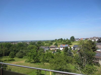 Rebland mit Rheintalblick