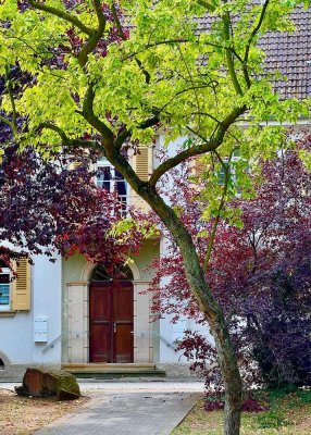 Exklusive kernsanierte Designer-Altbauwohnung (100m2) möbliert: B&B Italia/USM Möbel/Wohnküche