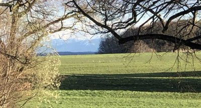 Sonderpreis bei Kontakt bis 14.02.2026, EG, 4-Zim. kompl. renoviert, ruhige Lage, Stadtrand