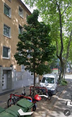 Gepflegte, vermietete Wohnung in ruhiger Lage – 6,2 % Bruttorendite