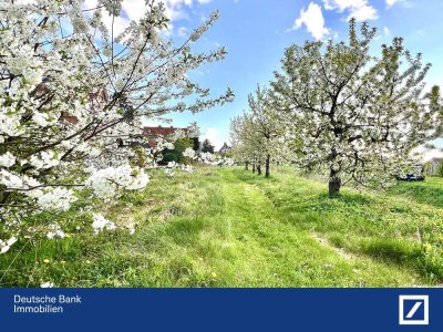 Freistehendes Viebrockhaus auf 1825 m² Traumgrundstück in 2. Reihe!