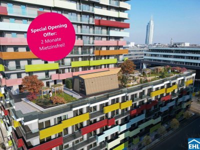 Modern, möbliert &amp; mitten im Grünen Zentrum Wiens