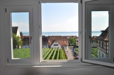 atemberaubende Sicht auf Bodensee und Berge
