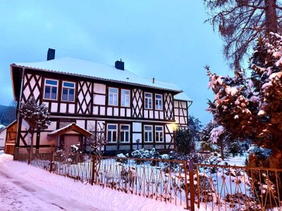 Kleine aber gemütliche 1-Raum-Wohnung