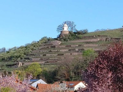 Reihenendhaus mit Charme, Weitblick, Garten und großer Terrasse in Radebeul West
