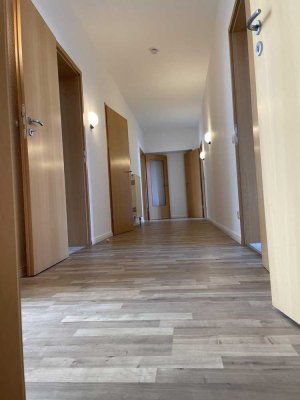 3-R.-Altbauwohnung mit Elbhangblick