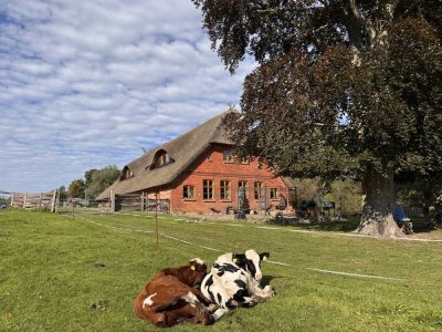 Historischer Reetdachhof mit 10.000 m² Freiheit – ein Zuhause für Generationen