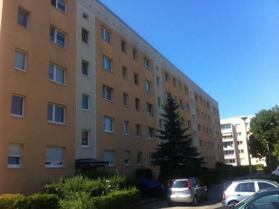 3-Zimmer EWO in Potsdam Babelsberg   Maklerfrei