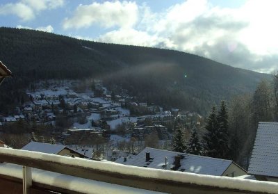 Attraktive helle 2 Zimmer-Wohnung mit EBK, Balkon und Garage