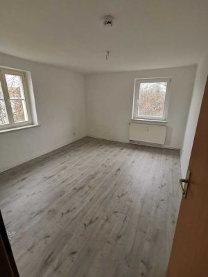 Schöne Attraktive 3-Zimmer-Wohnung in Lauchhammer mit Balkon und neuem Laminat