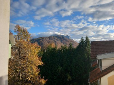 Helle und ruhige 2-Zimmer Neubauwohnung mit Balkon in Gmunden